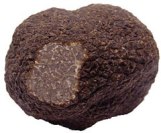 Black truffles threatened by climate change